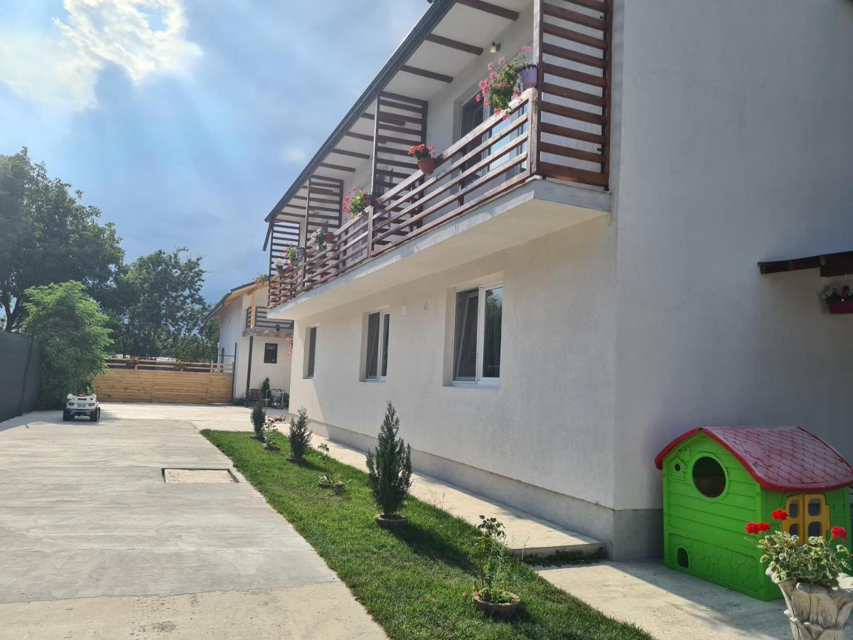 Luca'S Studio 3 ,Close To Therme Bucharest, Airport Otopeni 巴洛泰什蒂 外观 照片