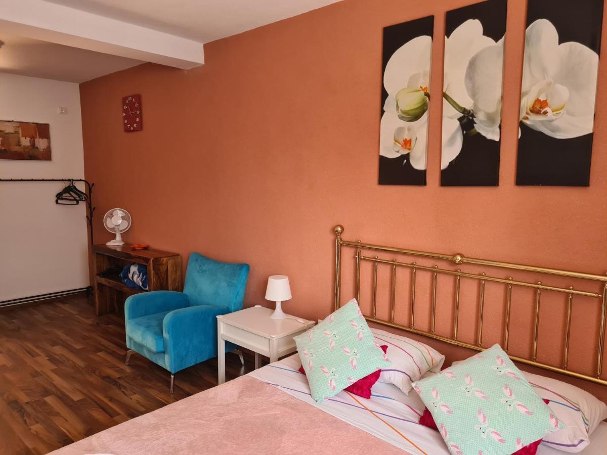 Luca'S Studio 3 ,Close To Therme Bucharest, Airport Otopeni 巴洛泰什蒂 外观 照片