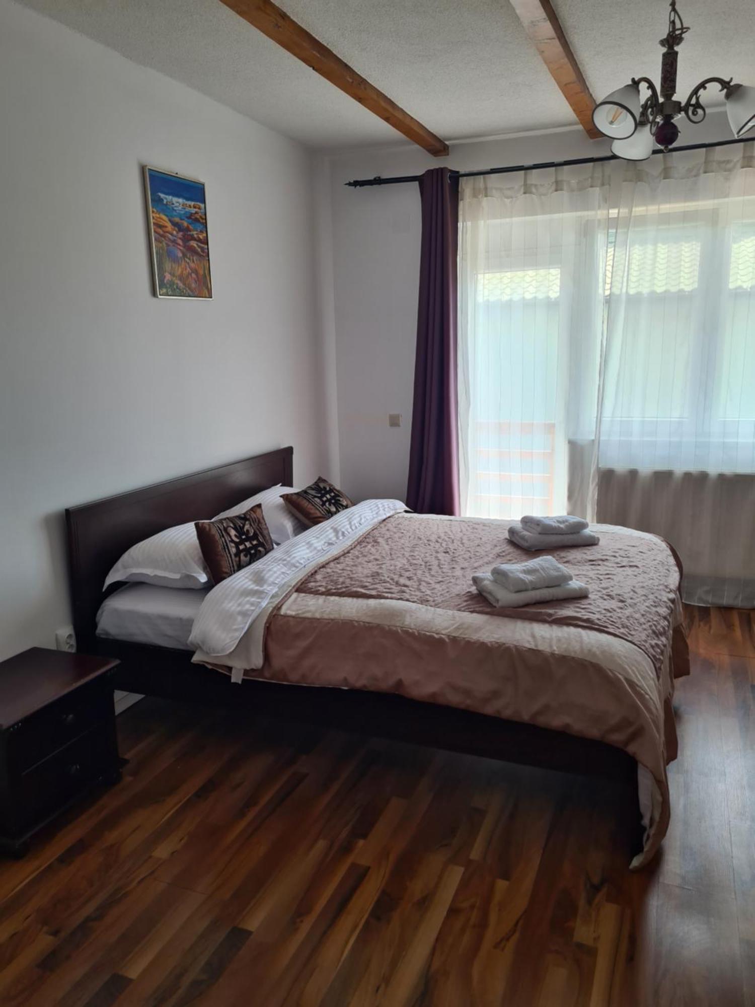 Luca'S Studio 3 ,Close To Therme Bucharest, Airport Otopeni 巴洛泰什蒂 客房 照片
